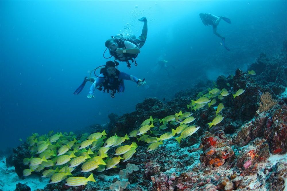 Fern Boquete Inn Hulhumale Dış mekan fotoğraf